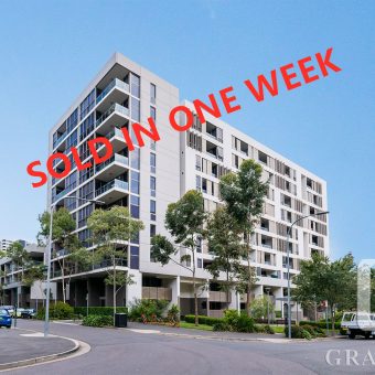 146/10 Victoria Park Parade, Zetland NSW 2017