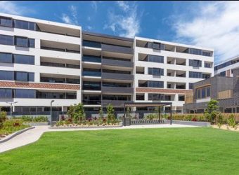 256/55 Rothschild Ave Rosebery NSW 2018