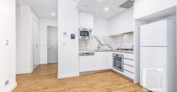 724/55 Church Ave Mascot NSW 2020