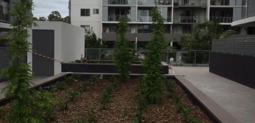 207/2-6 Martin Avenue Arncliffe NSW 2205