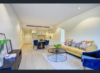 Tilia — Lindfield