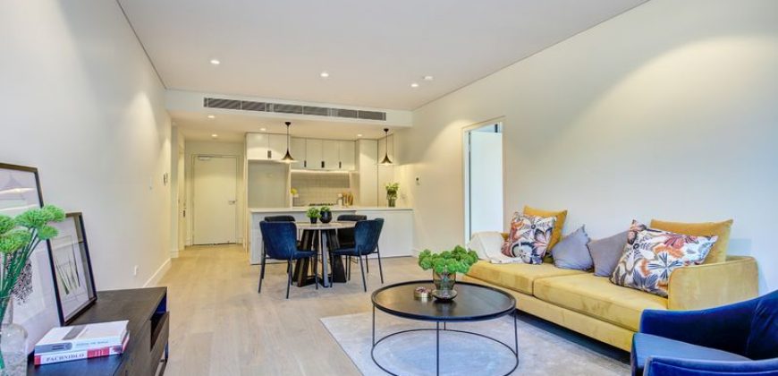 Tilia — Lindfield