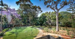 Tilia — Lindfield